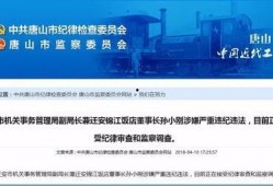 唐山市最新爆料新闻,最新爆料揭示惊人真相